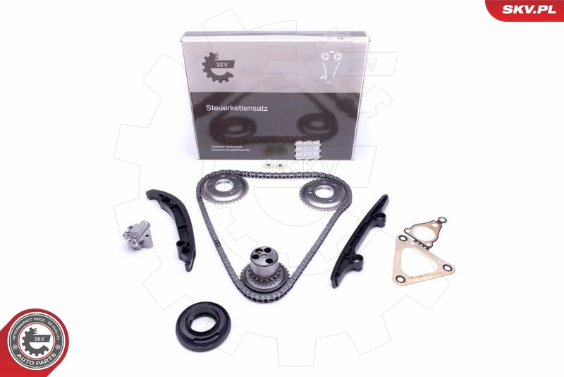 Timing Chain Kit